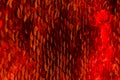Red sequins pattern. Sparkling sequins background. Red sequin fabric for background. rectangular red shiny fabric Royalty Free Stock Photo