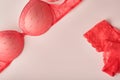 Red sexy bra and panties on pink background. Women sexy underwear set with roses and perfume. Gift Idea for Womens Day or Valentin Royalty Free Stock Photo