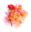 Red sexy carnation flower bud and pink orange hand painted bright watercolor blot spot splash isolated on white background. Design Royalty Free Stock Photo