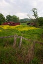 Red sheds in flower field Royalty Free Stock Photo