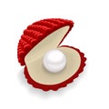 Red shell with a pearl on white background