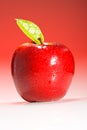 Red Shinny Apple with water drops Royalty Free Stock Photo