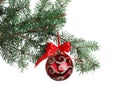 Red shiny Christmas ball on fir tree branch against white background Royalty Free Stock Photo