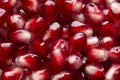 Red shiny pomegranate seeds on white background tasty and organic fruit peeled