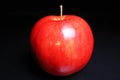 Red shiny whole apple on black reflective studio background. Isolated black shiny mirror mirrored background for every