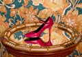 Red shoe Royalty Free Stock Photo