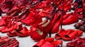 The red shoes Royalty Free Stock Photo