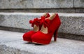 The red shoes Royalty Free Stock Photo