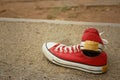 Red shoes on the floor of cement.