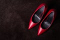 Women shoes with a sharp toe. Red shoes standing on a dark cowhide Royalty Free Stock Photo