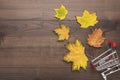 Shopping trolley on wooden background. overturned pushcart and yellow autumn leaves with copy space. fall sale concept Royalty Free Stock Photo