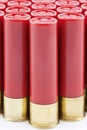 Red Shotgun Shells Lined Up