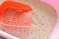 red shovel on cat litter in pink box