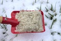 Red shovel with road salt in the garden Royalty Free Stock Photo