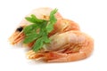 Red shrimps Royalty Free Stock Photo