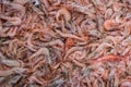 Red shrimps in market Royalty Free Stock Photo