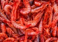 Red shrimps on a market Royalty Free Stock Photo