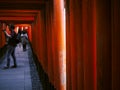 Red shrine gates at Fushimi Inari Shrine, Kyoto. Royalty Free Stock Photo