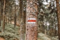 Red hiking trail sign painted on tree in forest.