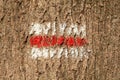 Red sign marking tourist mountain trail, rectangular painted tree mark sign, stripes symbol macro, extreme closeup, front view