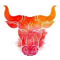 Red silhouette of a bull head with watercolor splashes. The symbol of the new year 2021. Buffalo with horns. Vector colorful