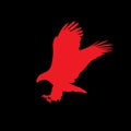 Red silhouette of eagle isolated on black background. Royalty Free Stock Photo