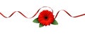 Red silk ribbon and gerbera flower Royalty Free Stock Photo