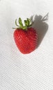 Red single strawberry on white background Royalty Free Stock Photo