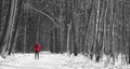 Red skier in the forest.red, black, white