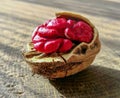 Red skin walnut close up