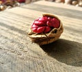 Red skin walnut on wooden table