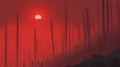 Red Sky Over A Burnt Forest Landscape at Sunset Royalty Free Stock Photo