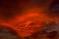 Red sky in early evening Royalty Free Stock Photo