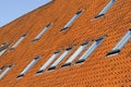 Slate roofing in Copenhagen Royalty Free Stock Photo