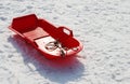 Red sled Royalty Free Stock Photo