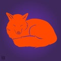 Red sleeping fox silhouette Royalty Free Stock Photo