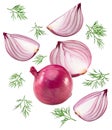 Flying red sliced onion with green leaves isolated on white background. clipping path Royalty Free Stock Photo