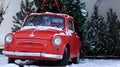 Red small retro car Zaporozhets with a Christmas tree fir tied to the roof. Fresh cut natural spruce for Christmas holiday