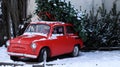 Red small retro car Zaporozhets with a Christmas tree fir tied to the roof. Fresh cut natural spruce for Christmas holiday