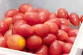 Red small ripe cherry tomatoes fruit Royalty Free Stock Photo