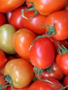 Red small tomato closeup Royalty Free Stock Photo