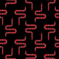 Red snake on black seamless pattern vector.