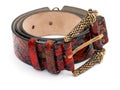 Red snake leather belt Royalty Free Stock Photo