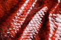 Red snake skin. Royalty Free Stock Photo