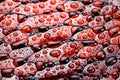 Red snake skin. Royalty Free Stock Photo