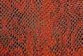 Red snake skin background Royalty Free Stock Photo