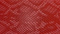 Red snake skin texture background Royalty Free Stock Photo