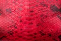 Red Snakeskin texture pattern, natural python leather.