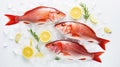 Red snapper fish catch in ice cubes. Seafood background. Generative AI