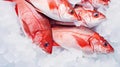 Red snapper fish catch in ice cubes. Seafood background. Generative AI